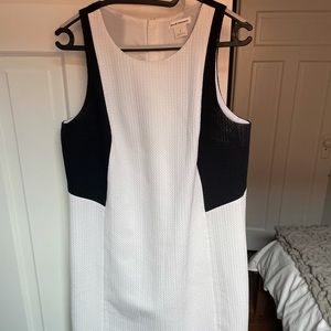 Club Monaco Shift Style Dress